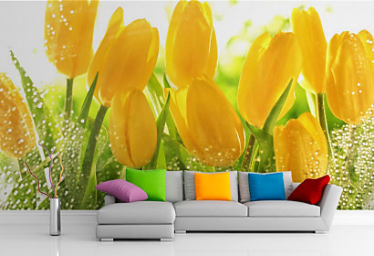 Fototapeta Žlté tulipány